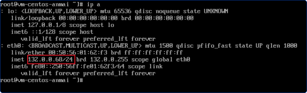 Output of ip a command in the CentOS VM Console