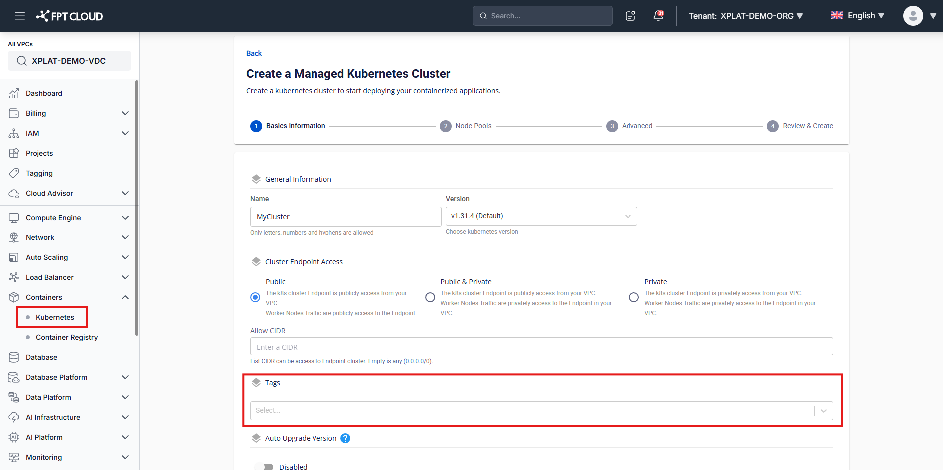 Assign tags to cluster