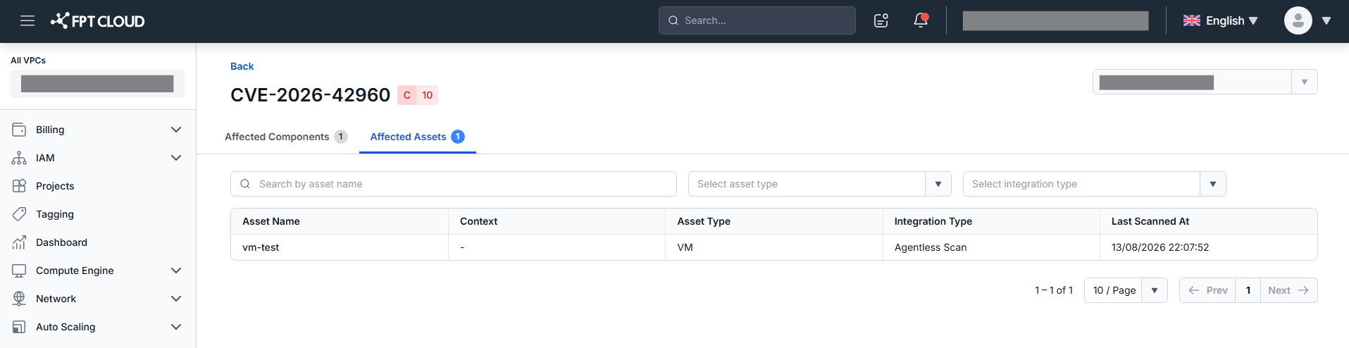 CVE Detail — Affected Assets tab