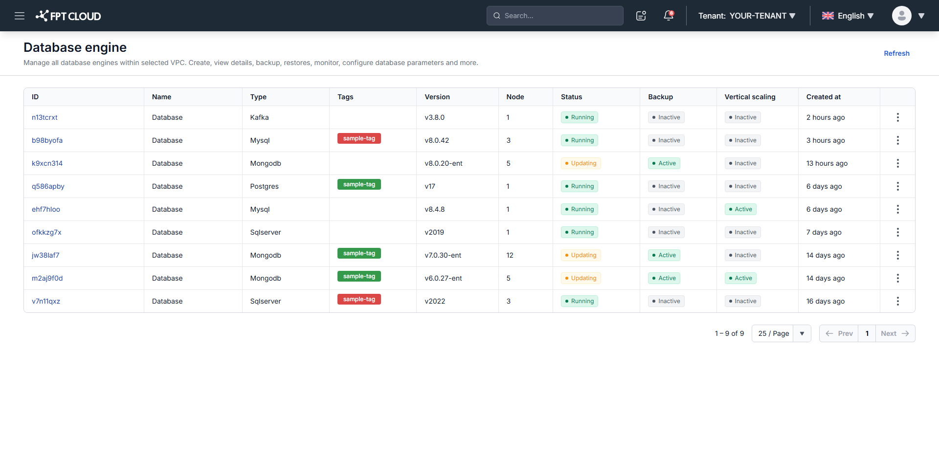 Database list showing the new cluster running