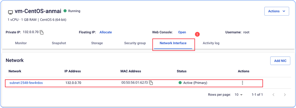 Network Interface tab
