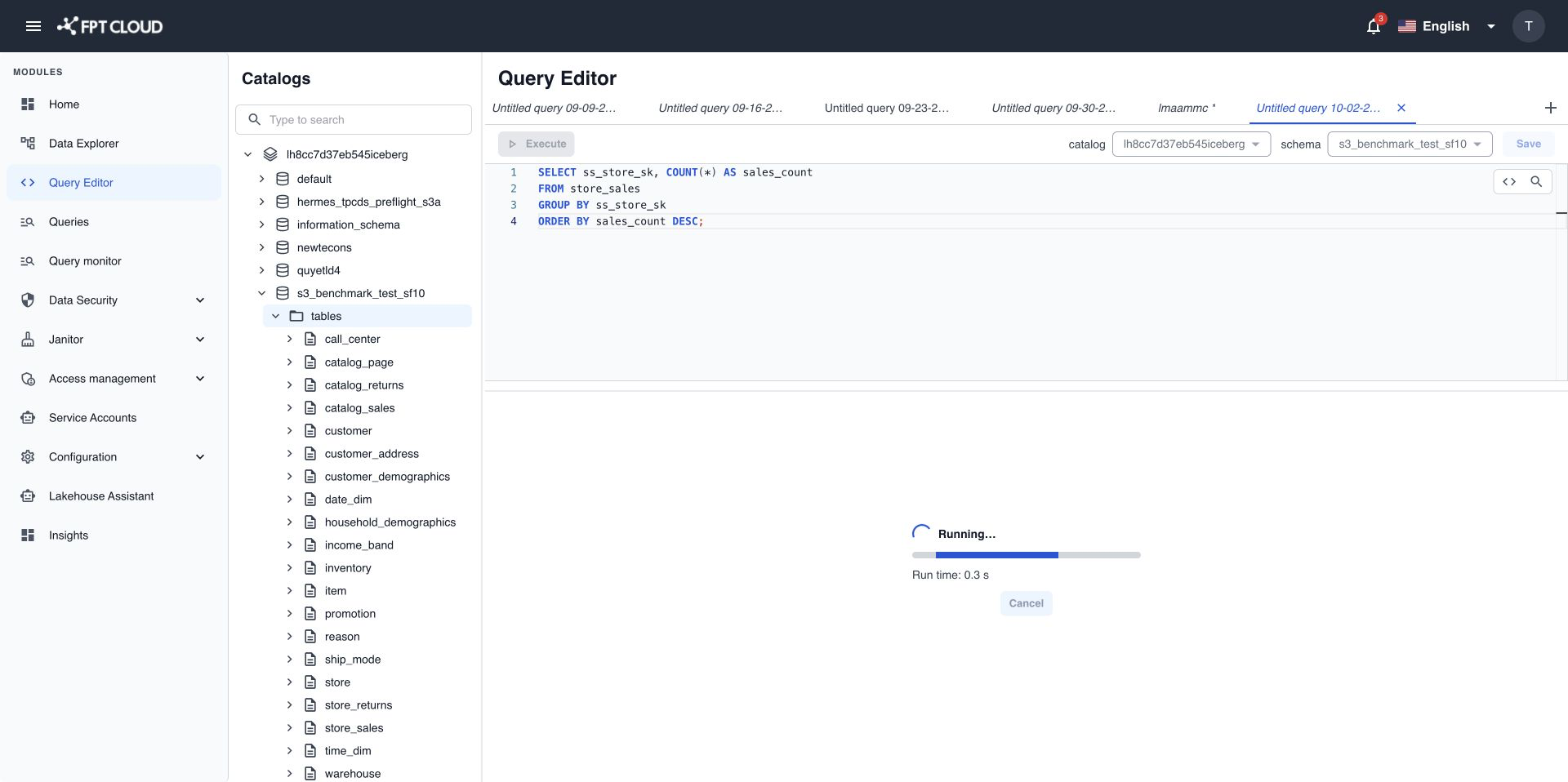 Running query with progress, run time, and the Cancel button