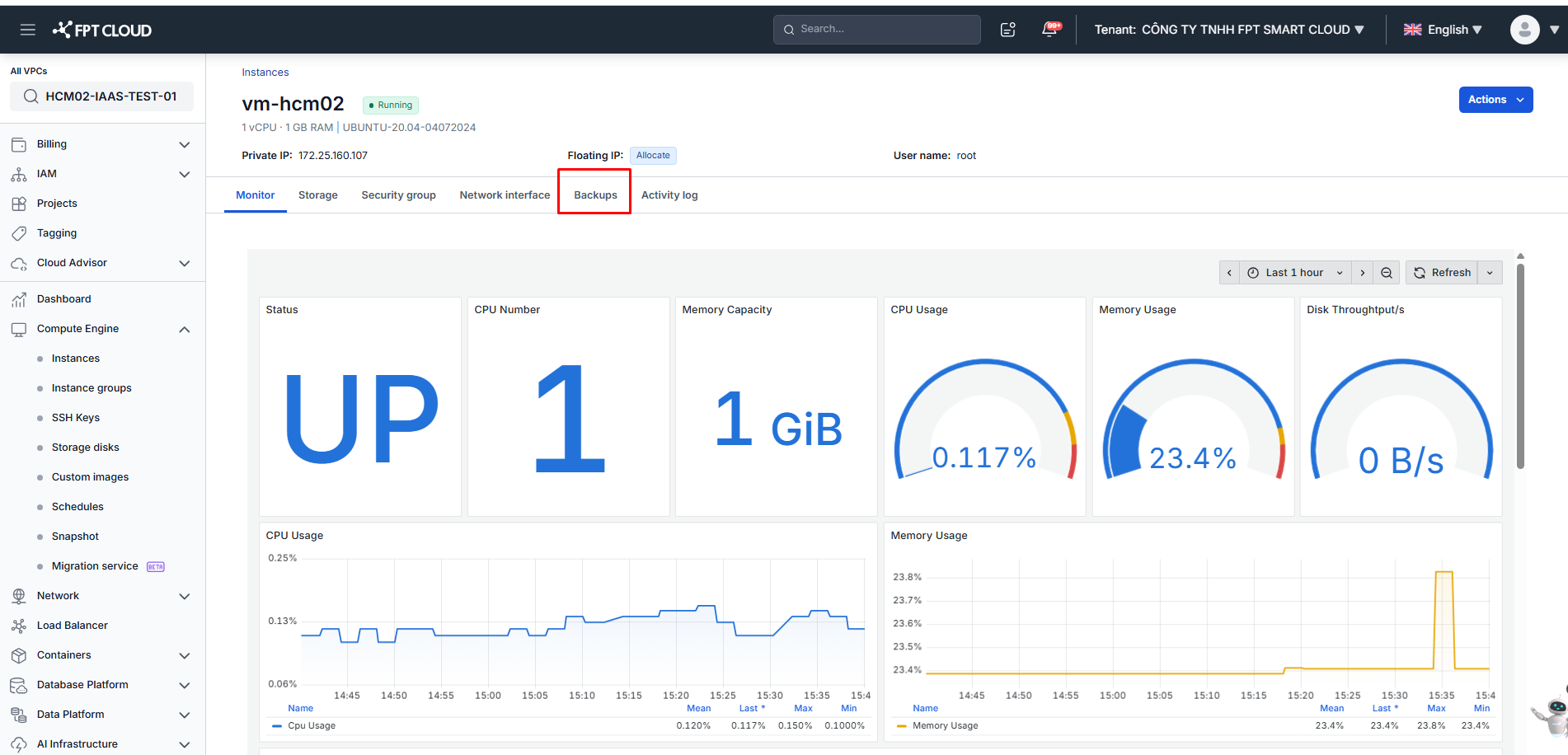Backups tab on the instance detail page