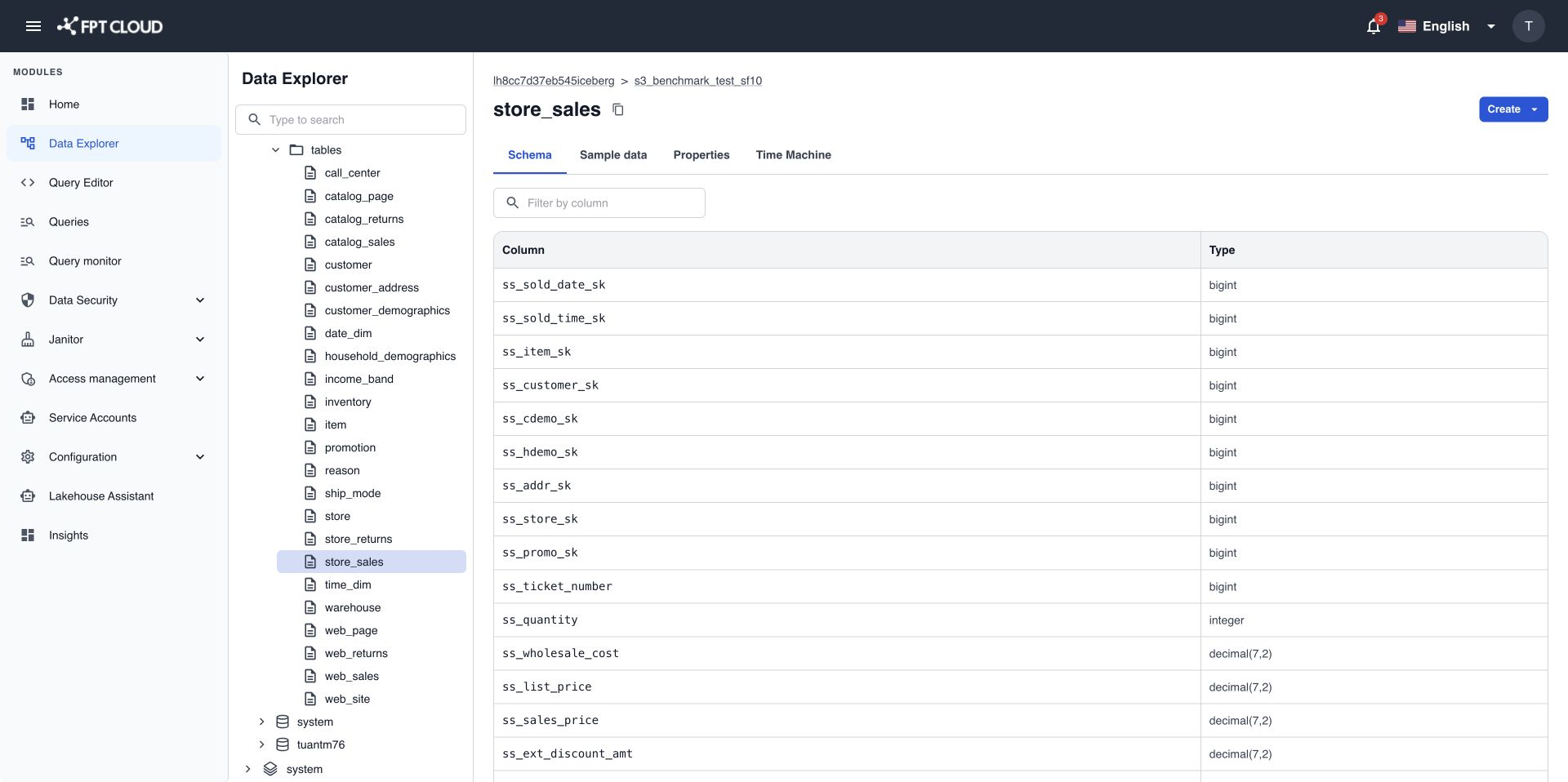 Schema tab with the Column and Type list and pagination