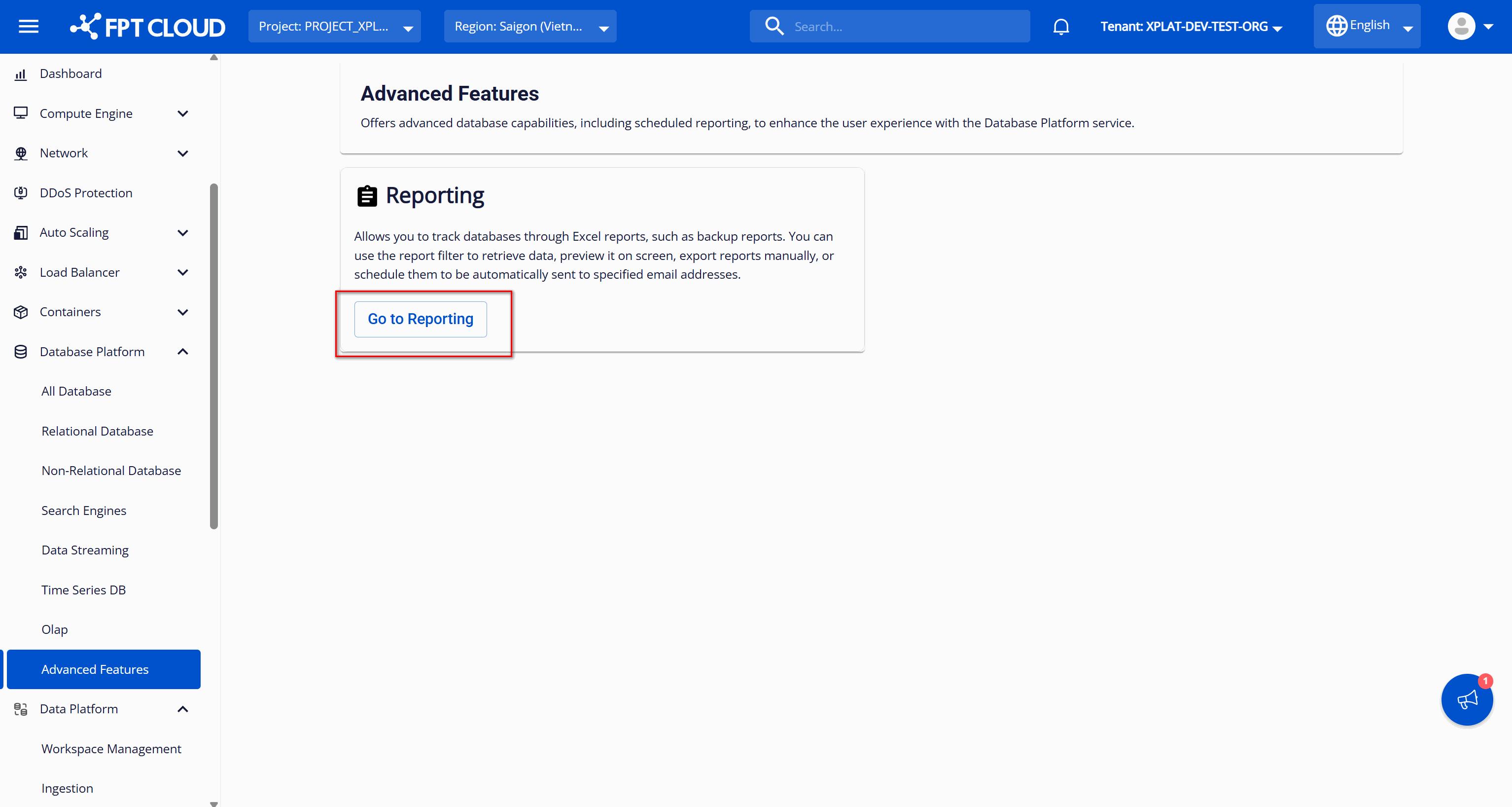 Go to Reporting ボタンがある Advanced Features 画面