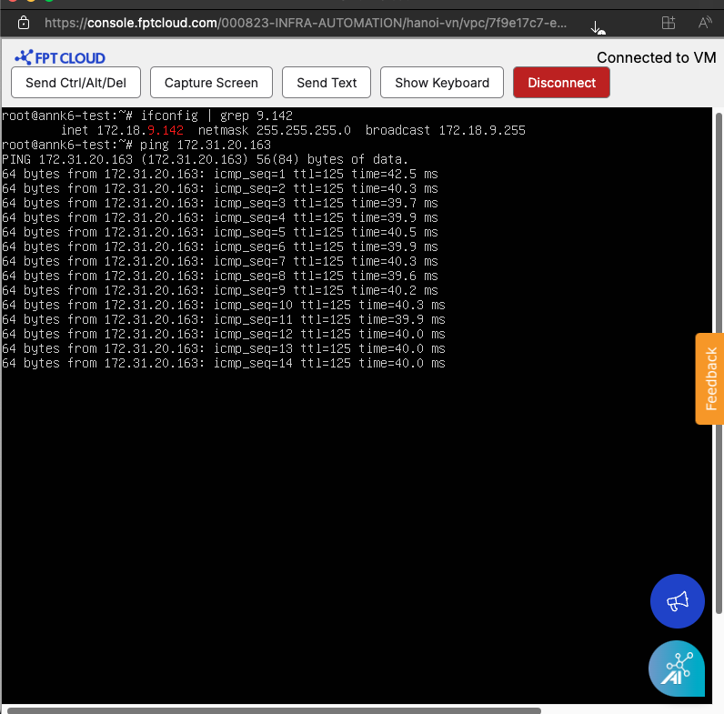 FCI から AWS への ping