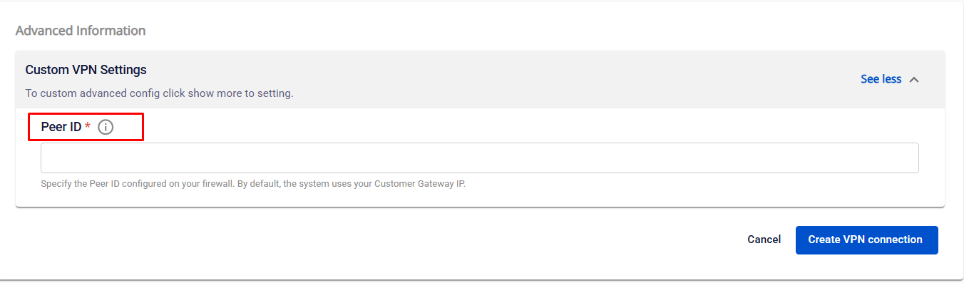 VPN Connection 作成時の Advanced information