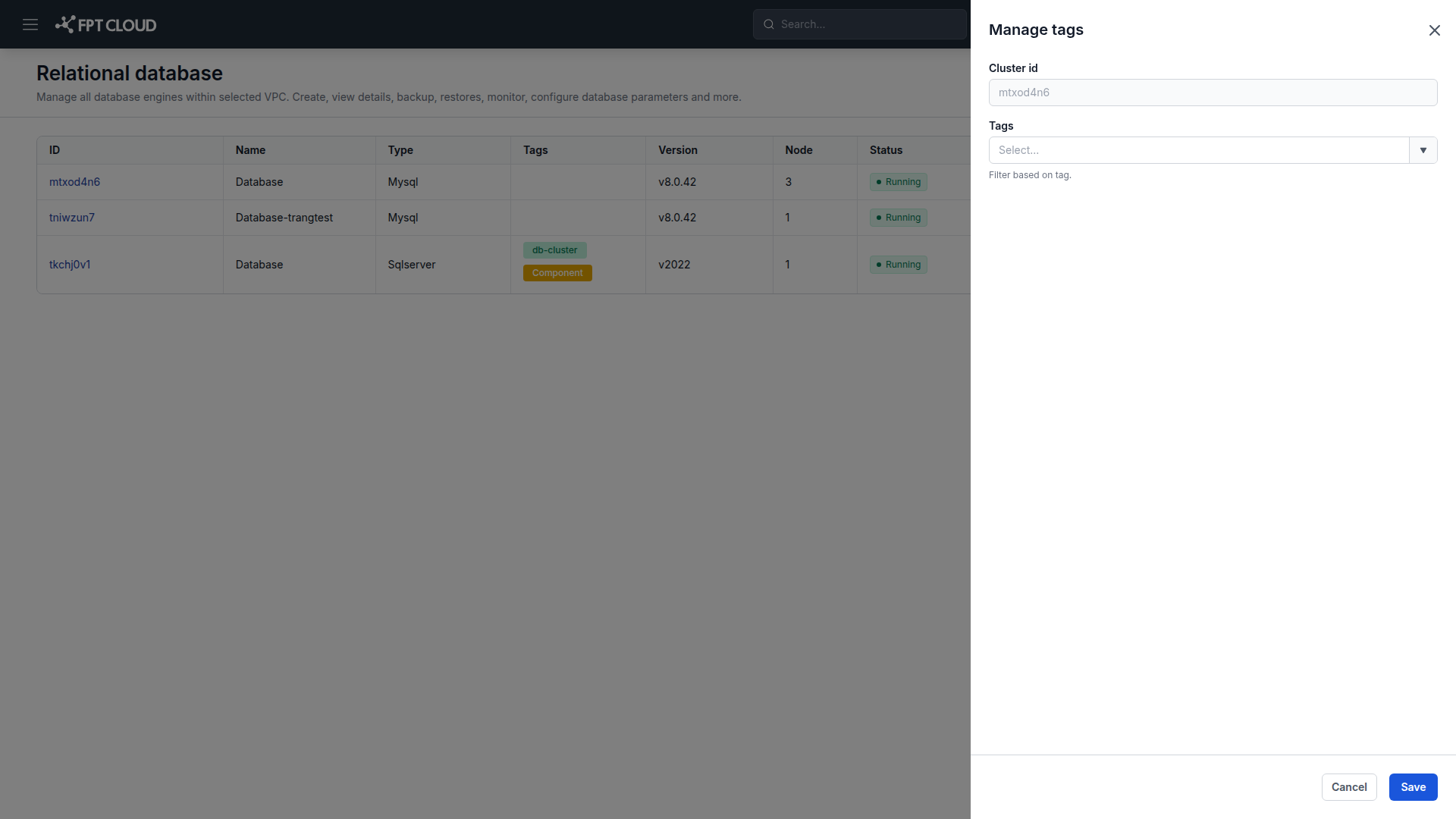 読み取り専用の cluster ID とタグ選択欄がある Manage tags ダイアログ