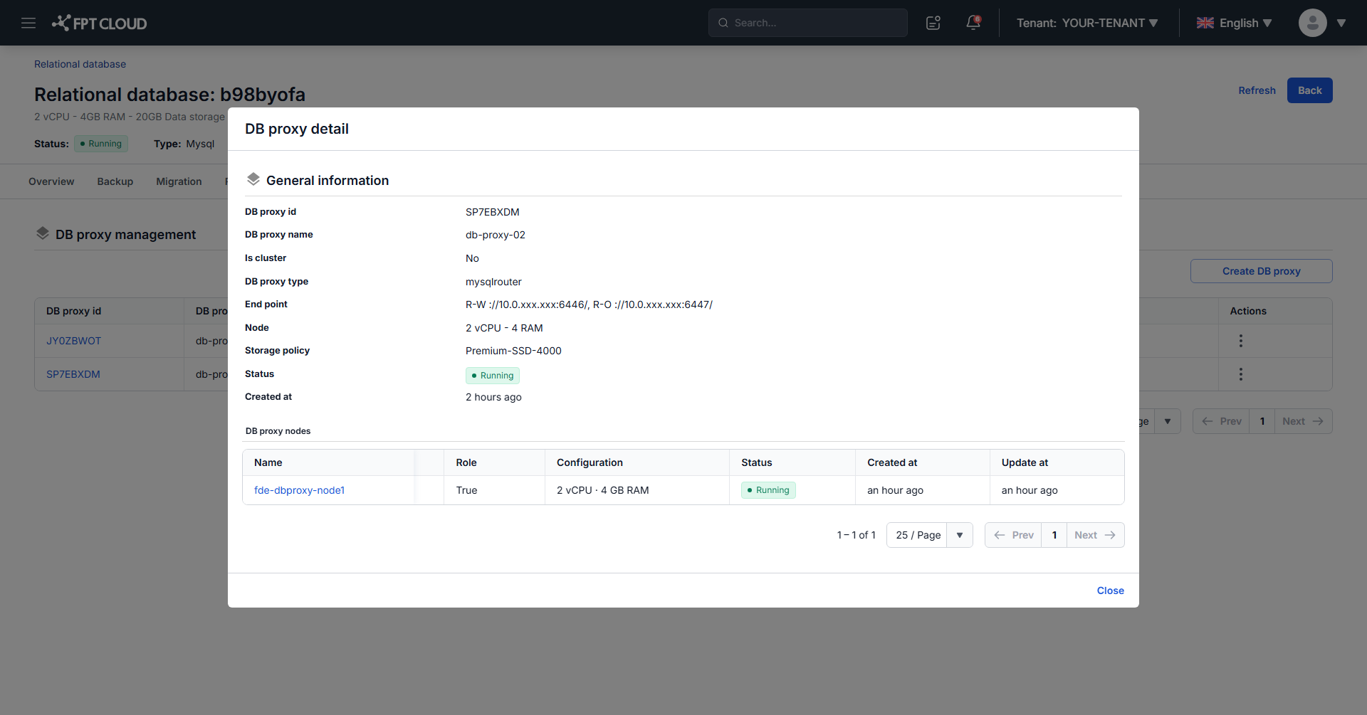endpoint 情報を表示している DB Proxy の詳細ダイアログ